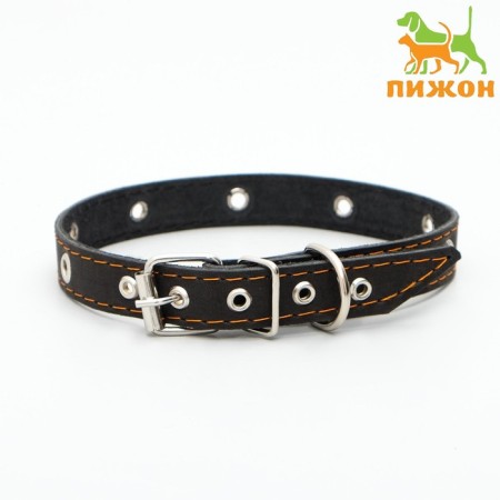A single-layer leather collar with corrugated eyelets, dimensionless, 50 x 2 cm, Osh 36-44 cm, black