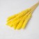 Sukhotzet "reed" set 15 pcs, yellow color