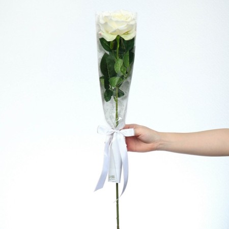 Package for flowers with the liner "The most tender"-2