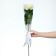 Package for flowers with the liner "The most tender"