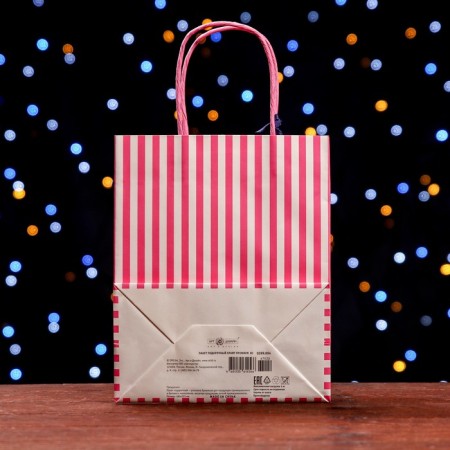Package gift craft "Winter time of miracles" 18 x 22.3 x 10 cm-1
