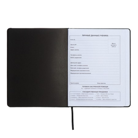 Universal Diary Grade 1-11, 48 Introvert sheets, firm artificial leather cover, foil embossing, liesse, universal cheat sheet, block 80 g/m2-4