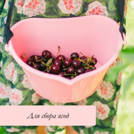 Capacity for collecting berries, 3 l, "raspberries", red-4