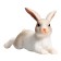 Figure Konik "Rabbit (lying)"