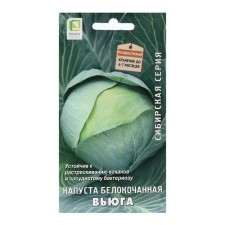 White cabbage seeds 