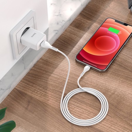 Nice charger Hoco N9, USB - 2.1 A, Lightning 1 m, white cable-9
