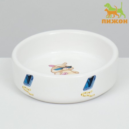 Ceramic bowl for rodents "on style" 80 ml 8.5 x 3 cm-1