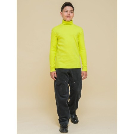 Turtleneck for a boy Pelican, height 98 cm, yellow color-6