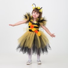 Carnival costume 