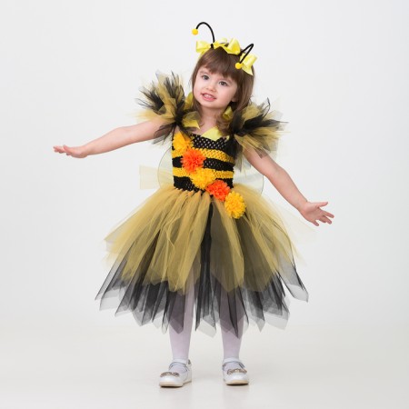 Carnival costume "Bee", do it yourself, corset, ribbons, brooches, accessories
