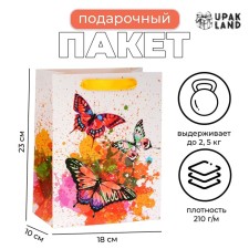 Laminated package 