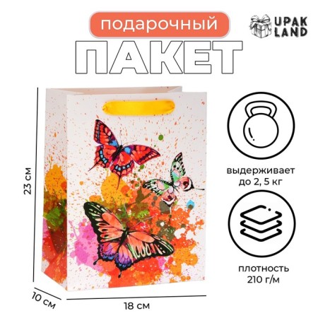Laminated package "Butterflies", MS 18 × 23 × 10 cm