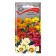 Flowers "Gazania Hybrid mix" 0.25 g
