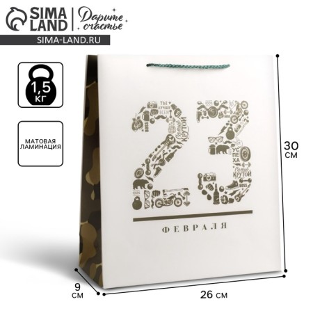 Package Gift Laminated Vertical, Packaging, "February 23", M 26 x 30 x 9 cm