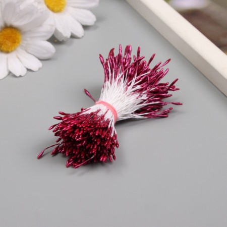 Stamens for artificial flowers gloss "risinki" Bordeaux set 360 pcs length 6 cm-1