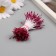 Stamens for artificial flowers gloss "risinki" Bordeaux set 360 pcs length 6 cm