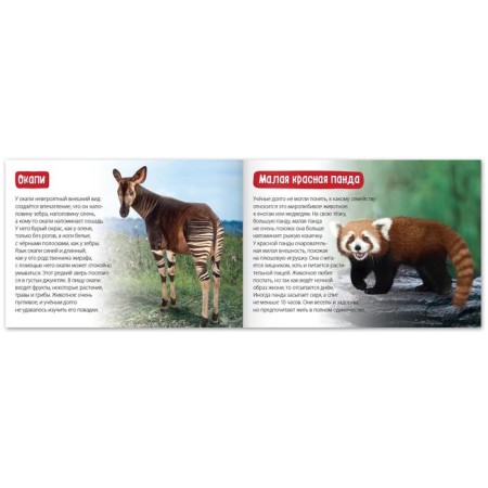 The training book "Rare Animals", 20 p.-2