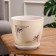 Flower Pot "Quartet" 2.5l