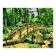 Picture on numbers canvas on a subframe 40 × 50 cm "Bridge in the garden"