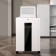 Schroeder Deli ET053 White with auto-capture (secret.p-4) fragments 16. 23ltr.