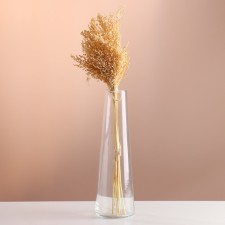 Set of dried flowers 