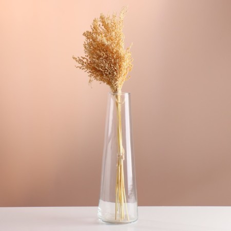 Set of dried flowers "millet", banch length 45 (+/- 6 cm), bleached