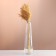 Set of dried flowers "millet", banch length 45 (+/- 6 cm), bleached