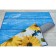 Rosetta Dzhtal carpet, size 100x150 cm., Blue board with daisies