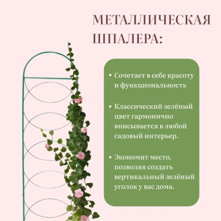 Trellis, 170 × 34 × 1 cm, metal, green, "circle"-2