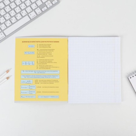 Substance notebook 48 sheets, A5, characters, with reference materials “September 1: Chemistry”, cover coated cardboard 230 gr., Inner block in a cage 80 gr., White is 96%-2