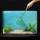 Aquarium net