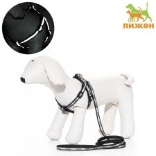 Sports set a reflective, leash 120 x 1 cm, fire 23-35 cm, black