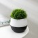 Pot "duet", 500 ml, black and white color