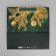 Packet Laminated Square Emerald, 30 x 30 x 12 cm, new year