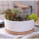 Pot "Eco Bonsai" Circle, 17x7cm, White