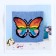 Application with pompom "Butterfly" size - 30 × 30 cm, glue 30 ml
