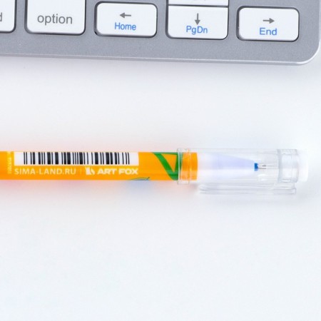 Pen Plastic Write-Write with a cap “Happy pen”, blue paste, gel 0.5 mm-6