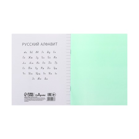 Notebook 12 sheets in the Calligrata "Green" line, plastic cover, with alphabet, offset block-4