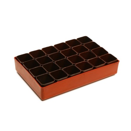 Set for seedlings: glasses of 70 ml (24 pcs), pan 29.5 × 20 cm, mix-5