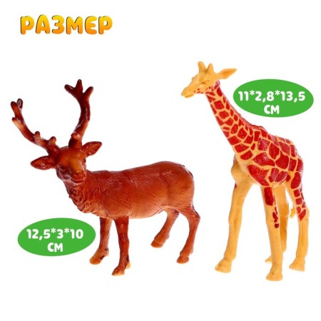 Set of animals "Wild", 12 pieces-3