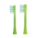 Children's electric toothbrush Luazon LP-008, vibrator, 31000 dv/min, 2 nozzles, 1haa, green.