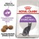 Dry food RC Sterilized 37 for sterilized cats, 2 kg