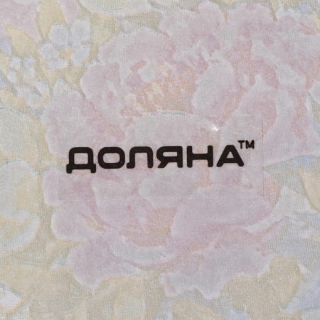 Glass Serving shares "Spring Romance", Ovalnaya, 24.5 × 15 × 2 cm-5