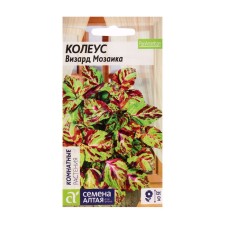 Flower seeds Kohlius 