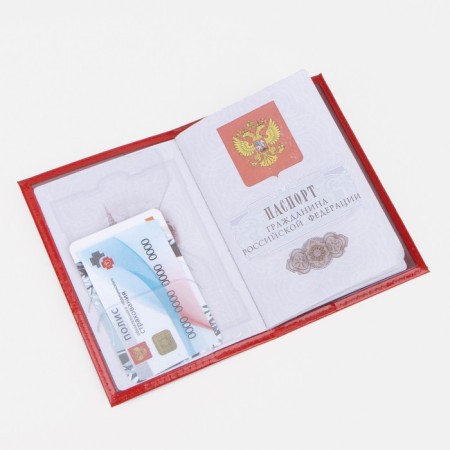 Cover for passport, red color-4