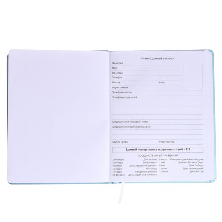 Universal diary for grade 1-11 Cotton Candy, solid cover, artificial leather, silkography, liesse, 80 g/m3-3