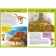 Dinosaurs. The first encyclopedia for babies