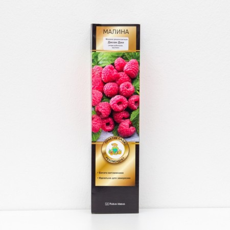 Raspberry repair varieties "Joan Ji", 1 pc, tube, spring 2025