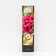 Raspberry repair varieties "Joan Ji", 1 pc, tube, spring 2025