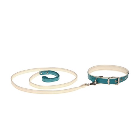 Set of collar (58x2.5 cm) and leash (130x1.4 cm) from eco -leather, turquoise with white-5